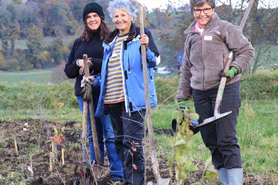 Die Arbeit hat richtig Spass gemacht 2