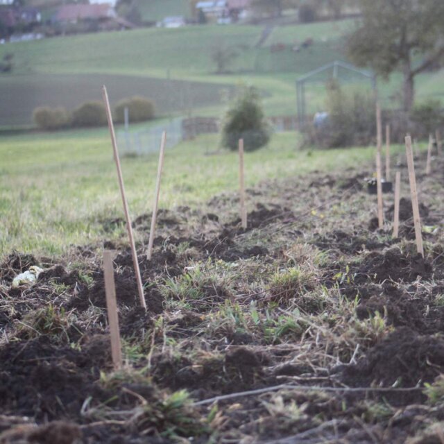 Ankommen in der Permakultur 1