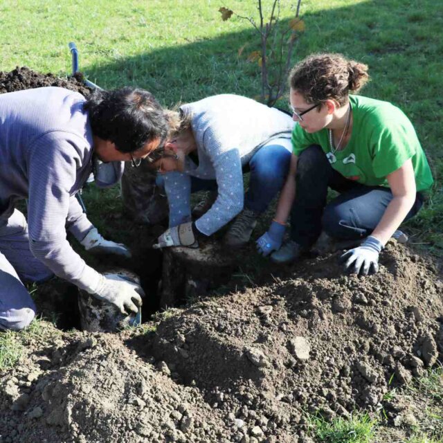 Ankommen in der Permakultur 2