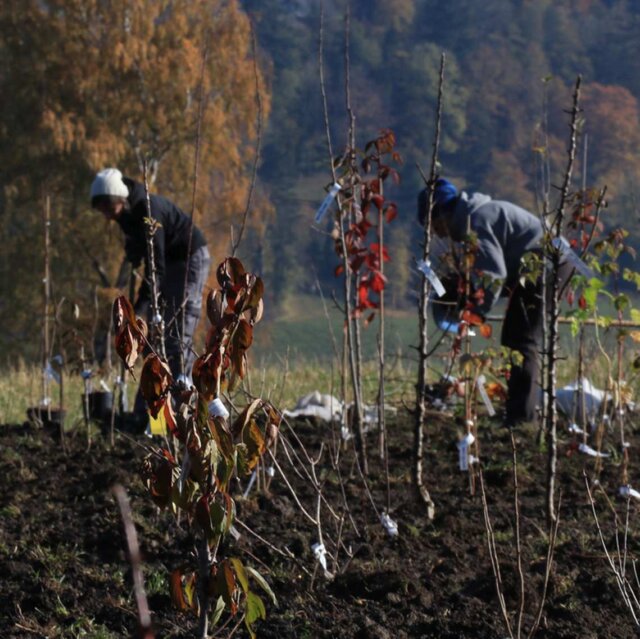 Ein extrem lehrreicher Tag 2