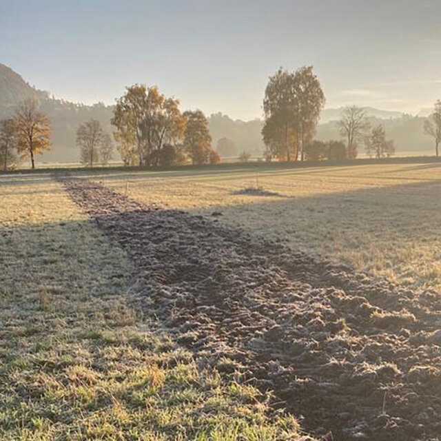 Freier Fall und sanfte Landung 2