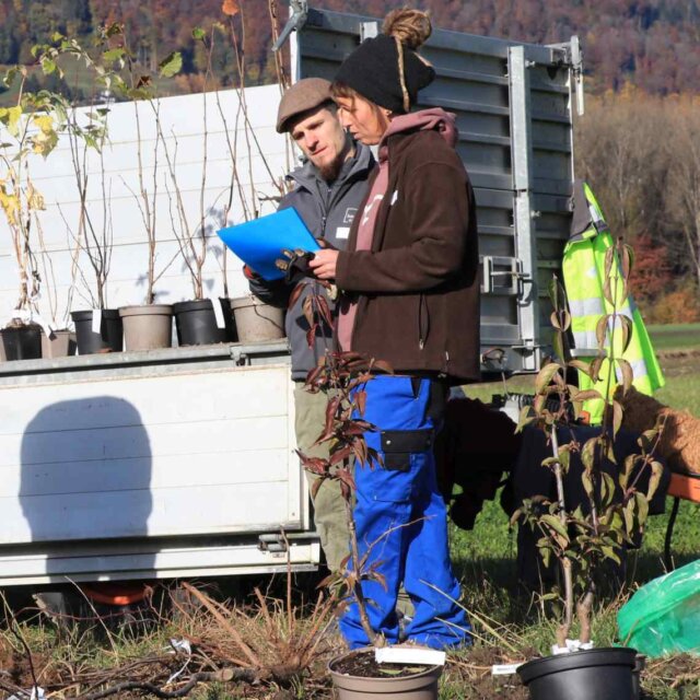 Vielfalt auf so vielen Ebenen 1
