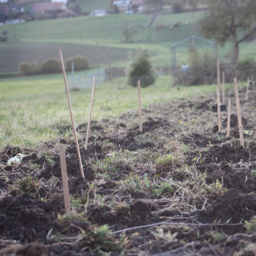 Ankommen in der Permakultur 1