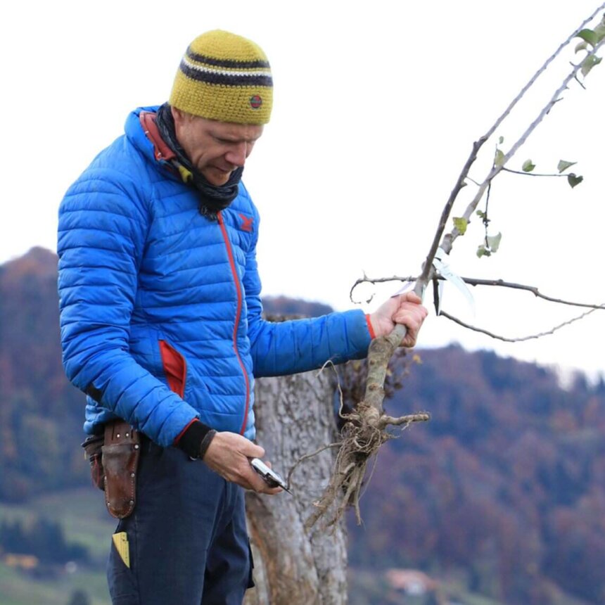 Vom Planungstag zum Pflanztag 1