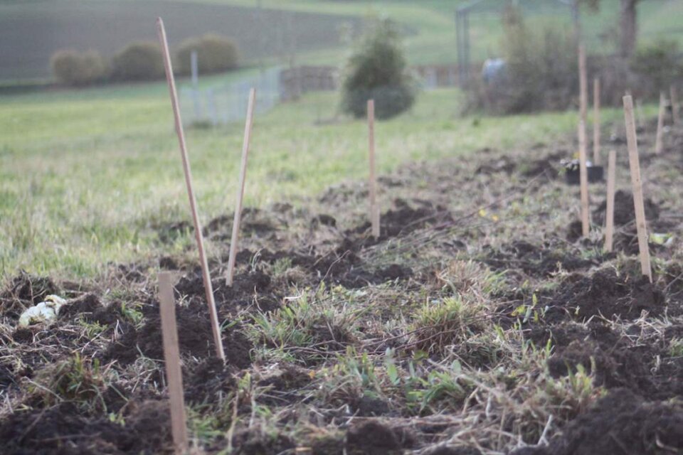 Ankommen in der Permakultur 1