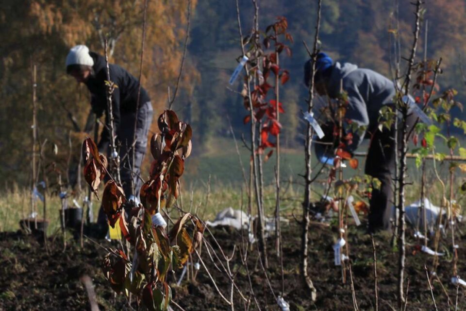 Ein extrem lehrreicher Tag 2