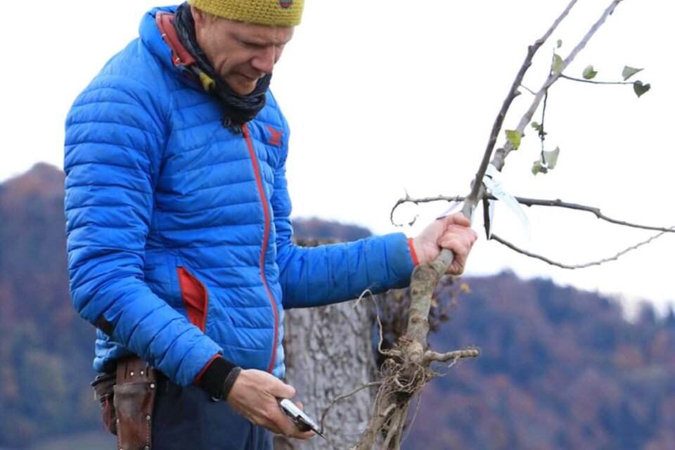 Vom Planungstag zum Pflanztag 1