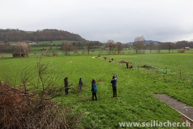 Strukturen 25 03 2023 002