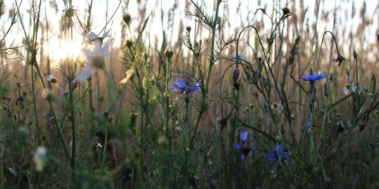 Anne nygard j Cx F Ah Qkg7c unsplash 1 1300x650